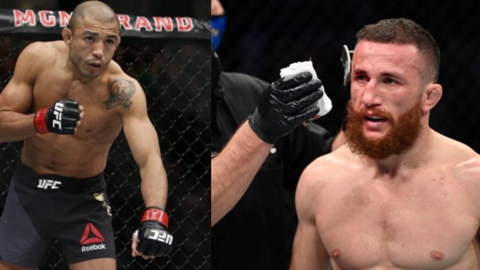 Breaking: Jose Aldo vs Merab Dvalishvili targeted for UFC 278