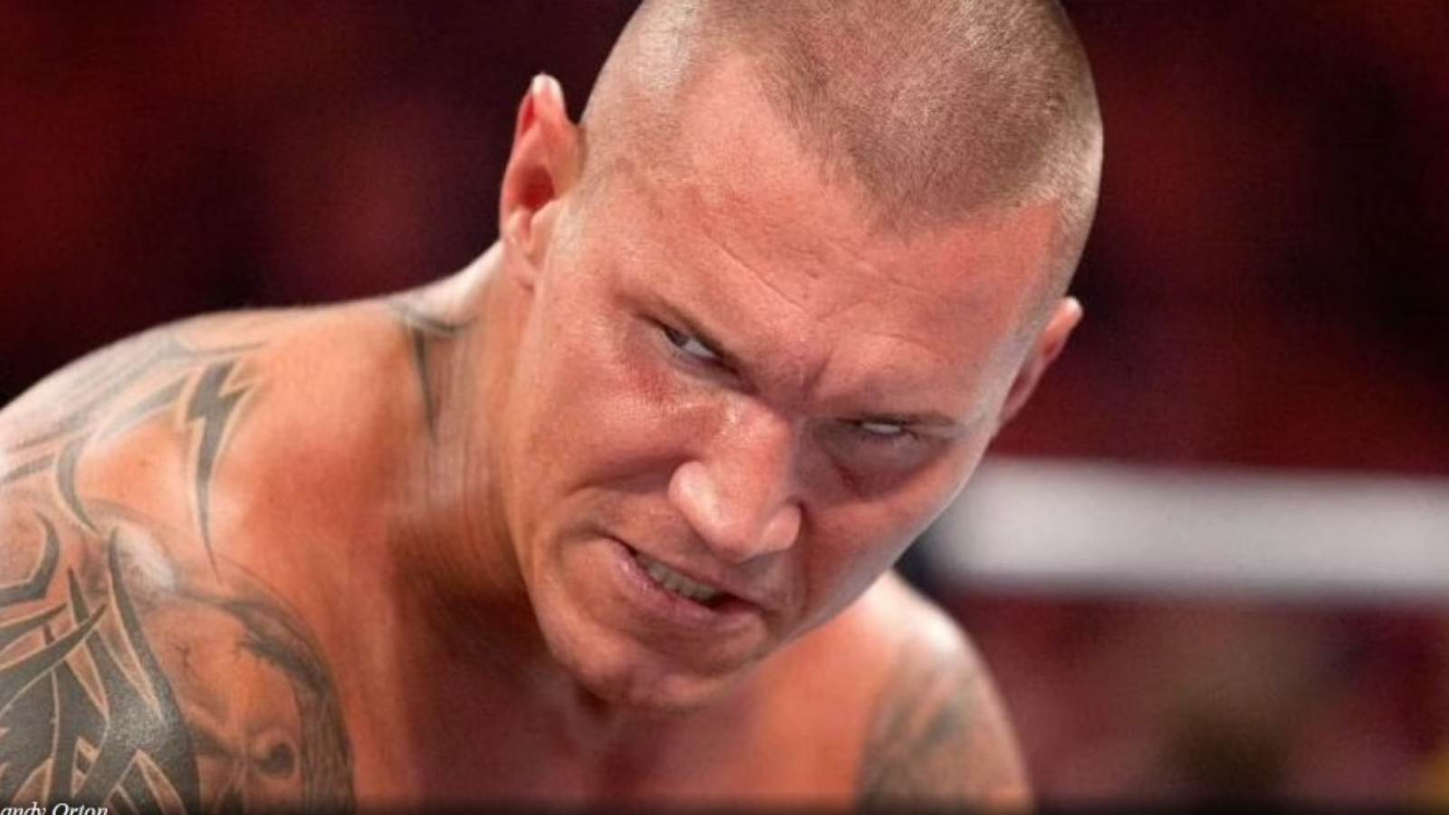 “Leave my f***ing family”- Matt McCarthy reveals Randy Orton’s reaction when they talked about involving his family in the storyline