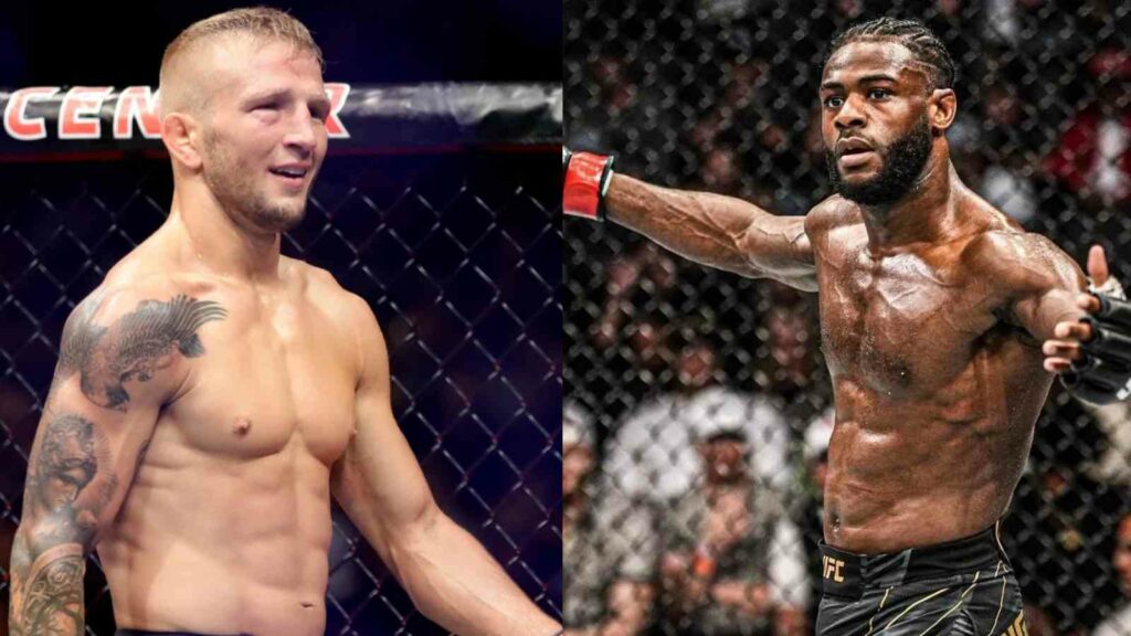 TJ Dillashaw- Aljamain Sterling 