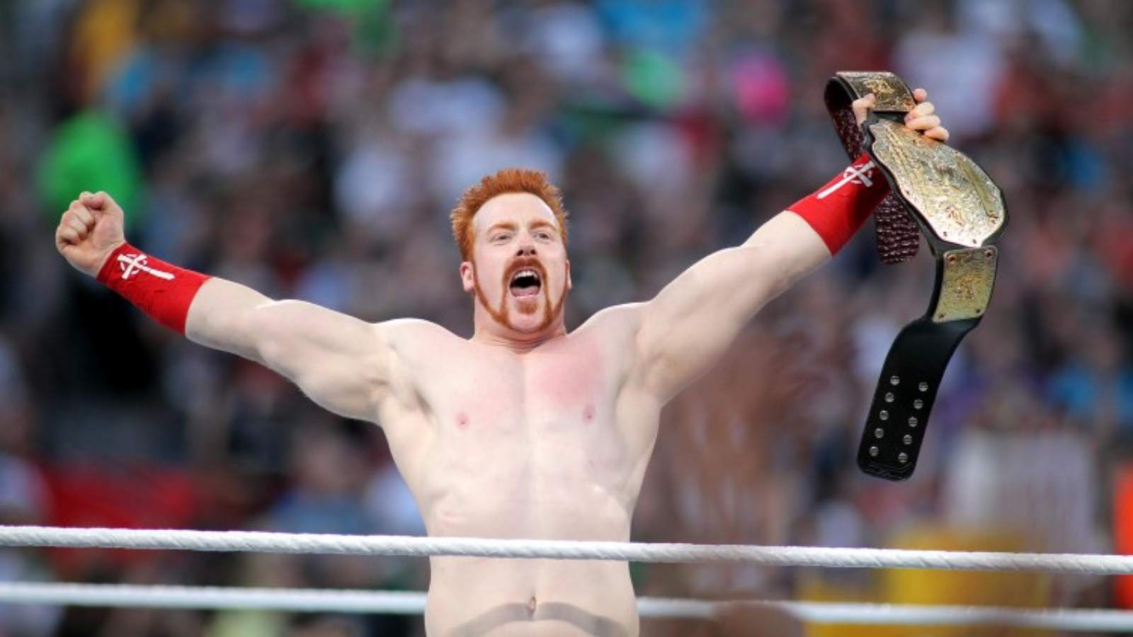 “Adds to the longevity as well” Sheamus reveals plans for the future