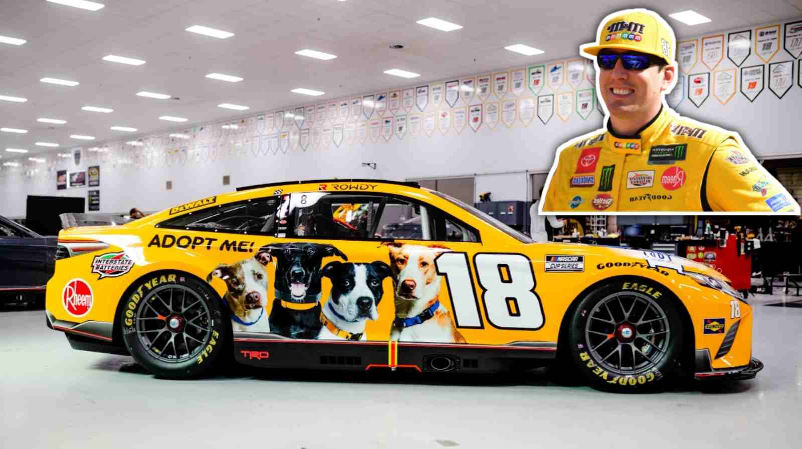 ‘It means so much to support a cause I care about,’ Kyle Busch to once again join forces with PEDIGREE Foundation in Nashville cup race