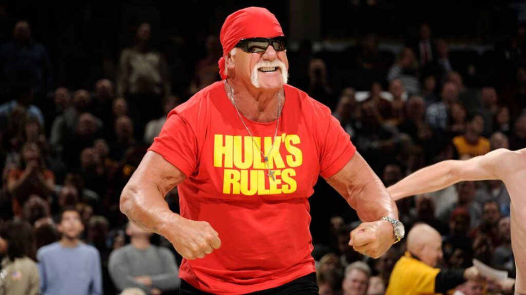 Hulk Hogan in wwe