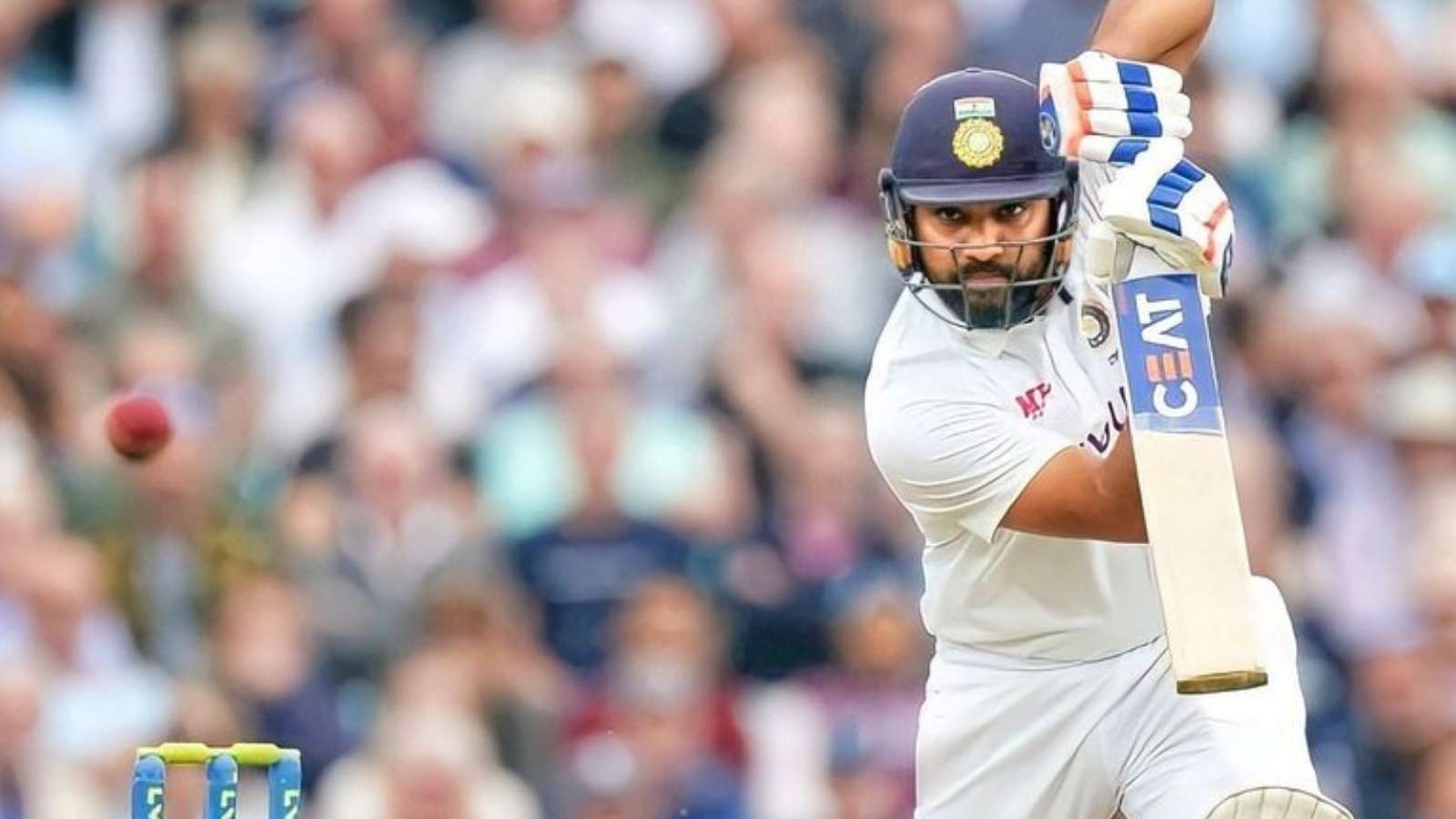 “We want Kohli as captain!”- Fans react as Rohit Sharma tests positive for COVID -19