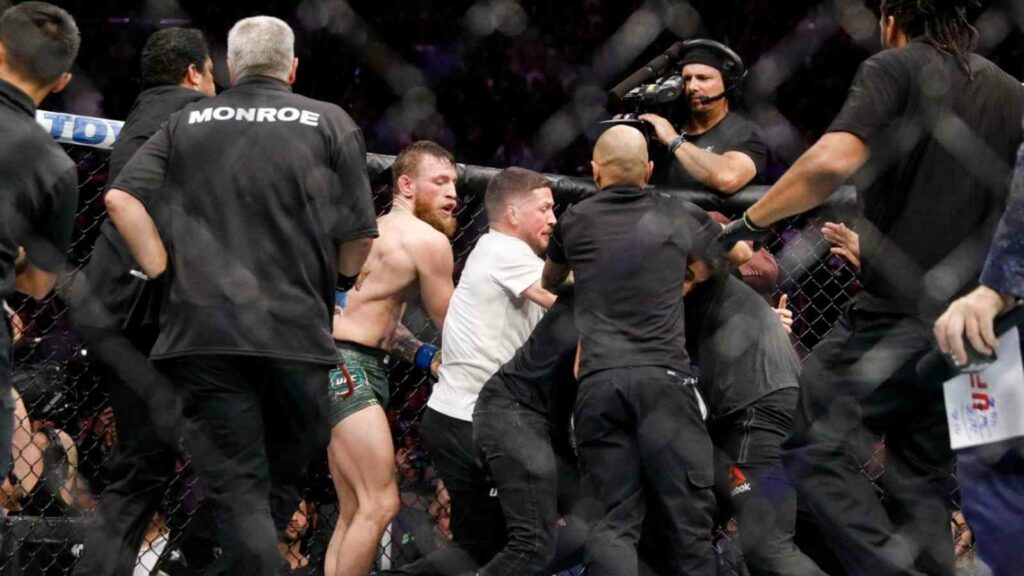 Khabib Nurmagomedov vs Conor McGregor UFC 229 post fight brawl