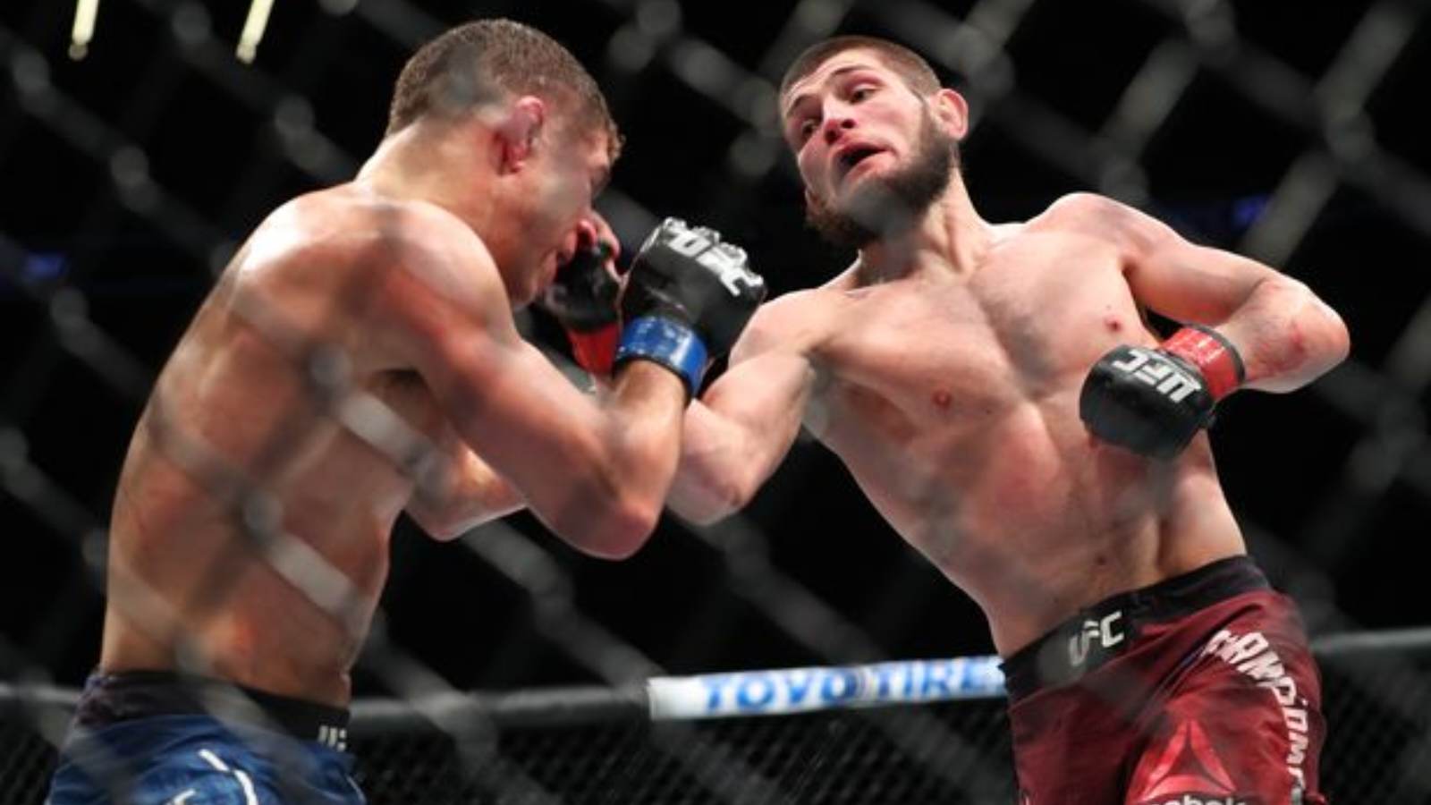 Khabib Nurmagomedov in a fight