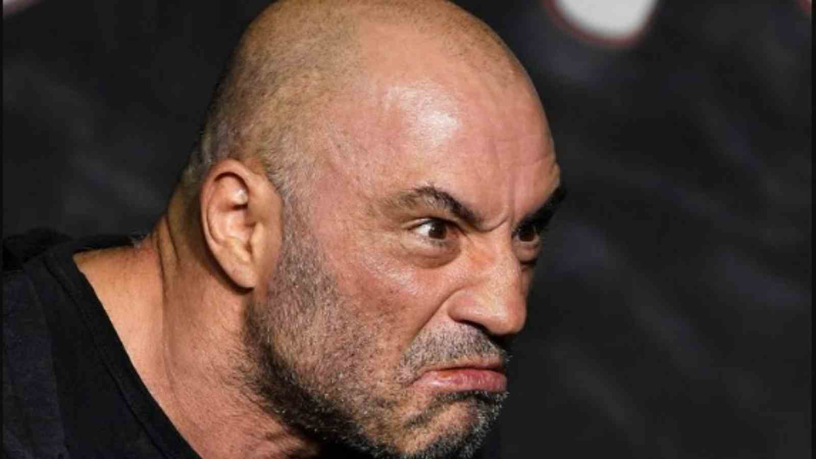 “Most Ridiculous Sh*t” Joe Rogan mounts a fierce rant on Woke Comedy alongside Gina Carano