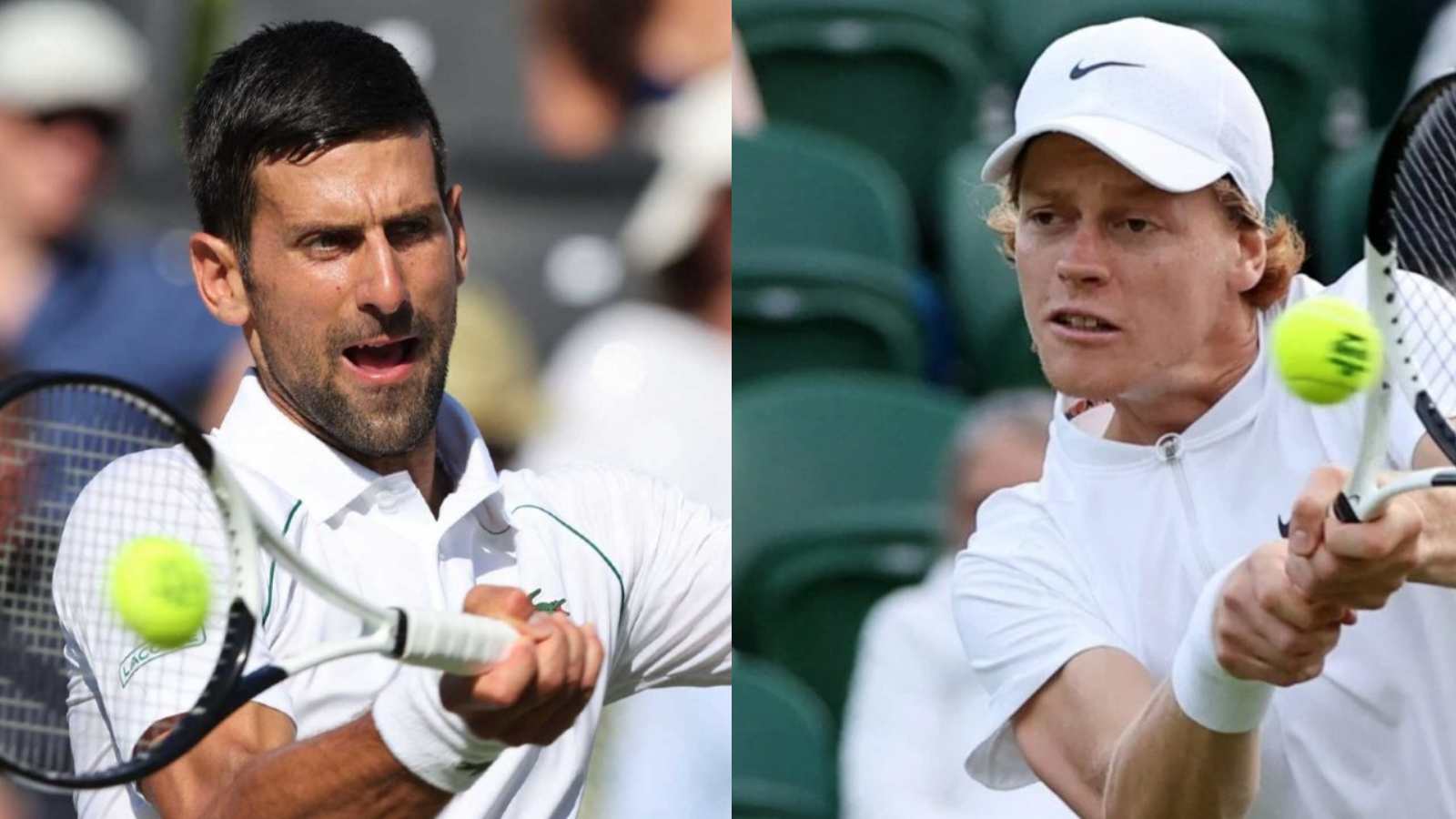 Wimbledon 2022: Novak Djokovic vs Jannik Sinner Live Stream, Match Timings, Prediction, and Preview