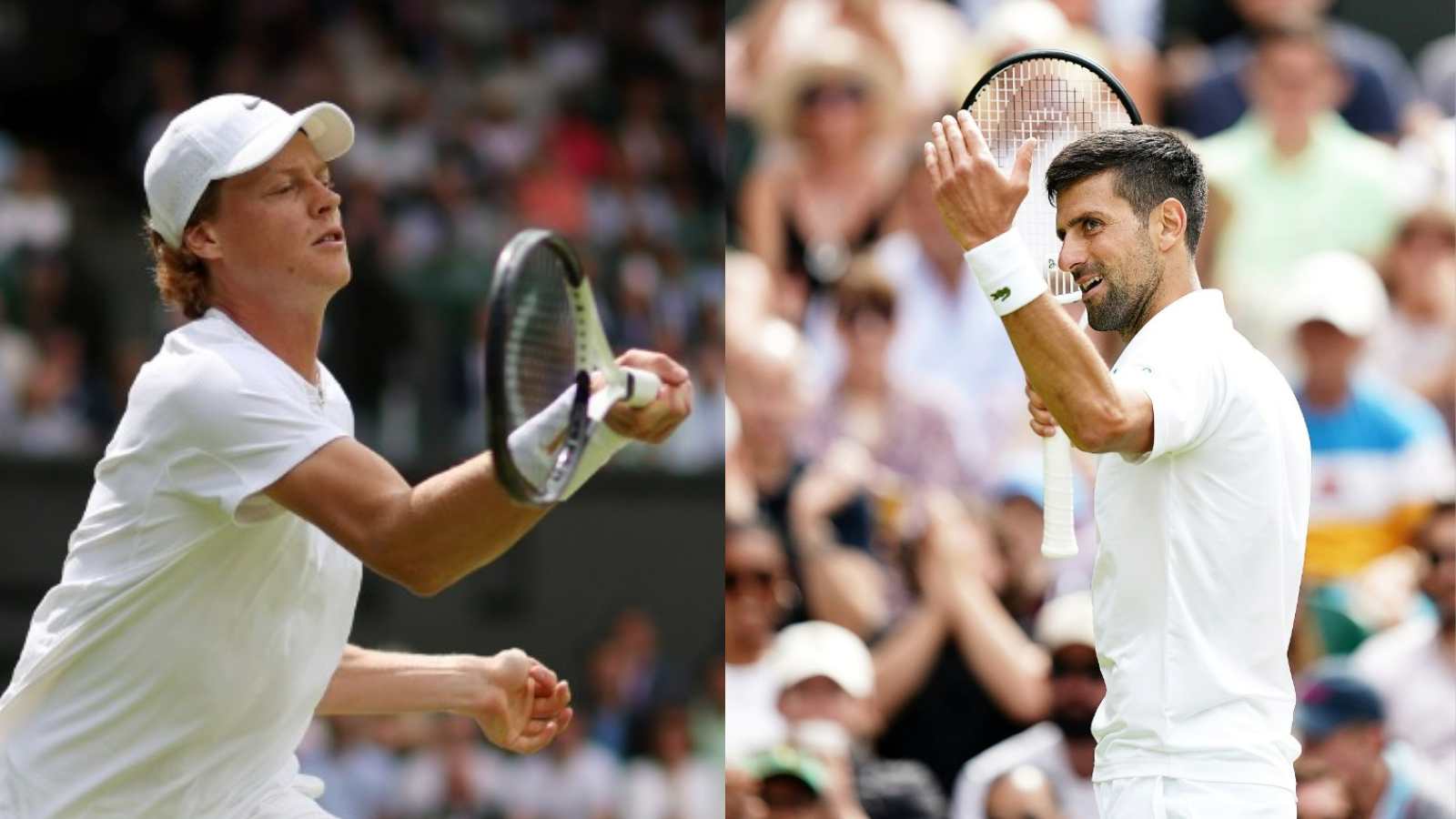 “Inner fight is always the biggest” Novak Djokovic makes a ferocious comeback to defeat Jannik Sinner in the quarterfinal of Wimbledon 2022