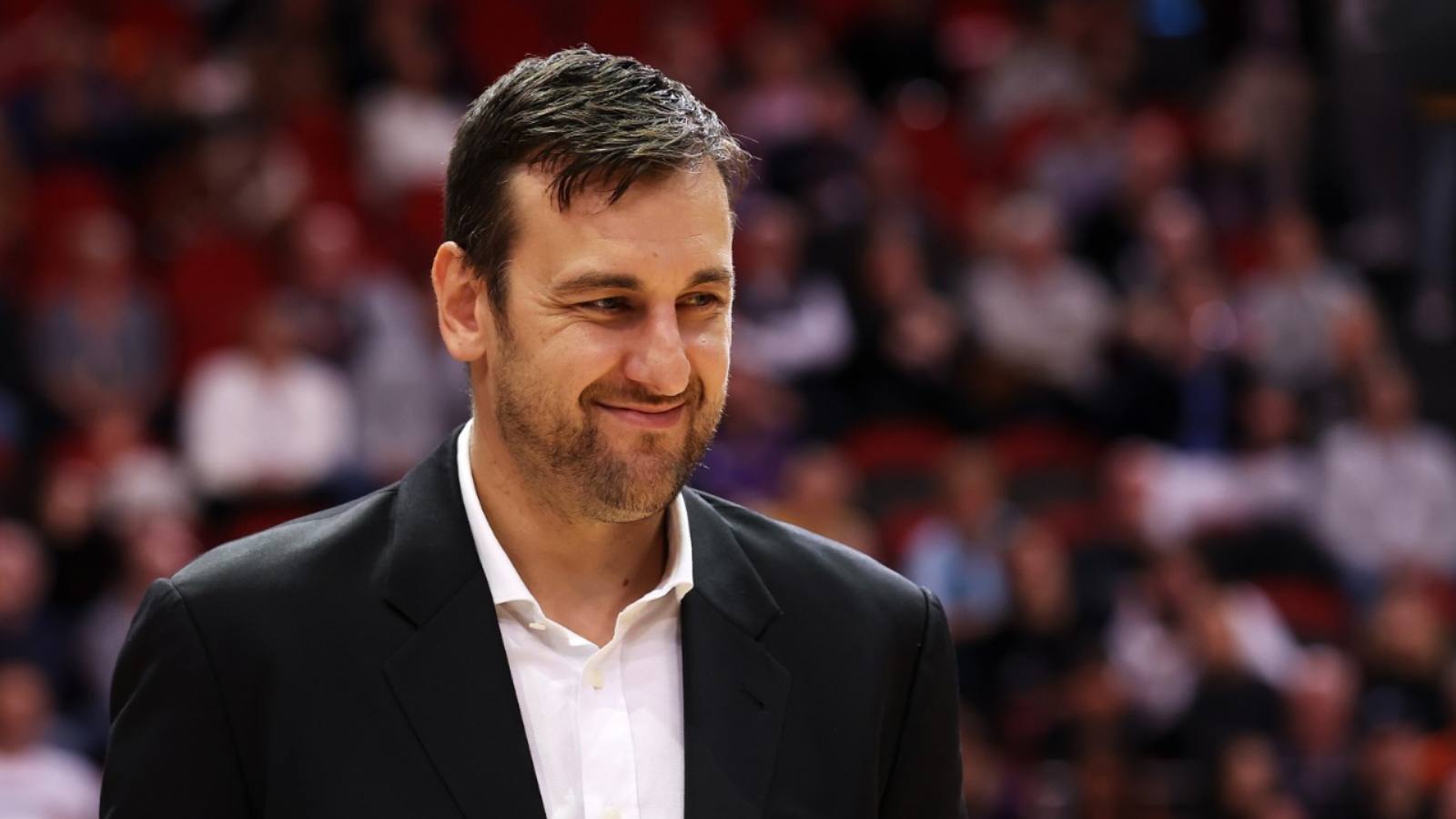 Andrew Bogut