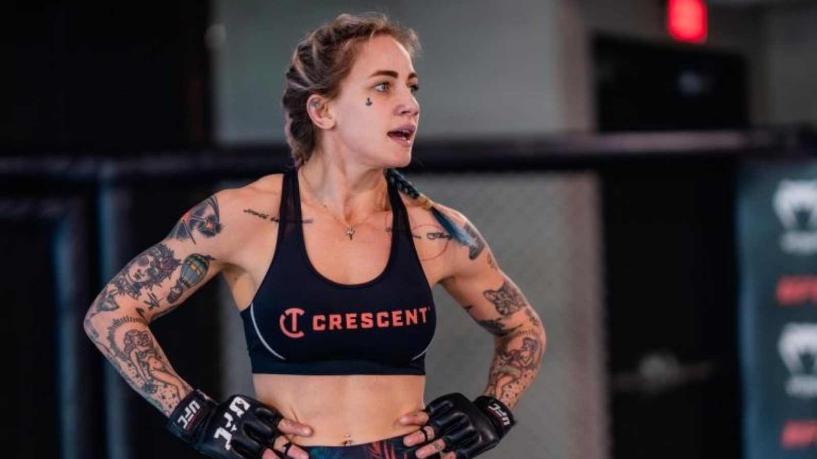 “Fucken pelican”, Jessica Rose Clark aggressively defends herself against a fan