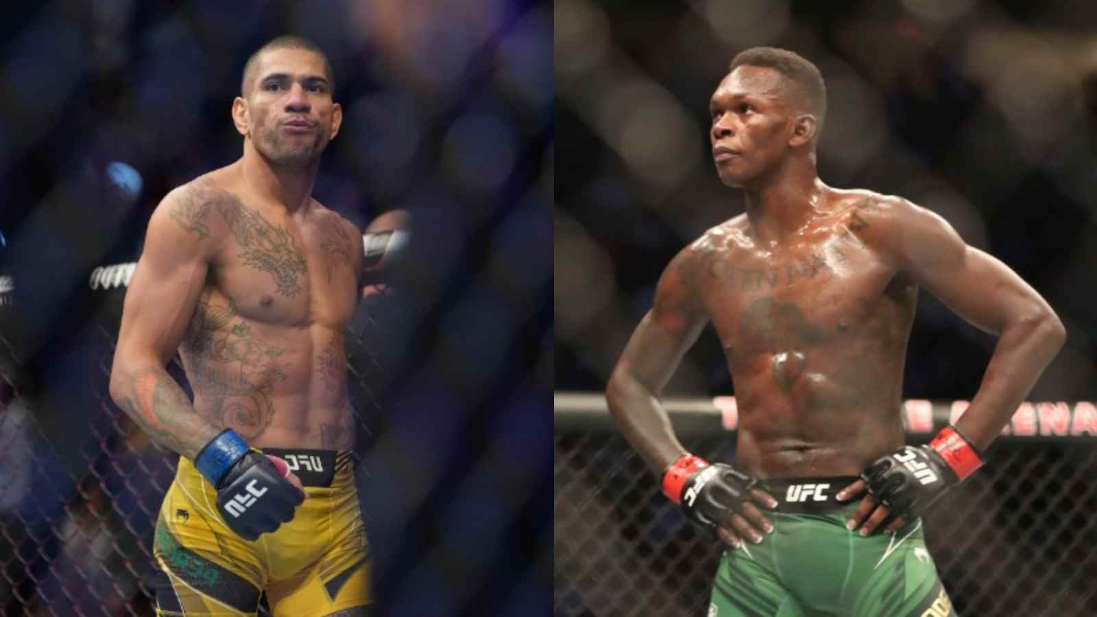 “Put me in a fridge” Alex Pereira is flabbergasted by Israel Adesanya’s weird ‘Frozen Like Elsa’ line