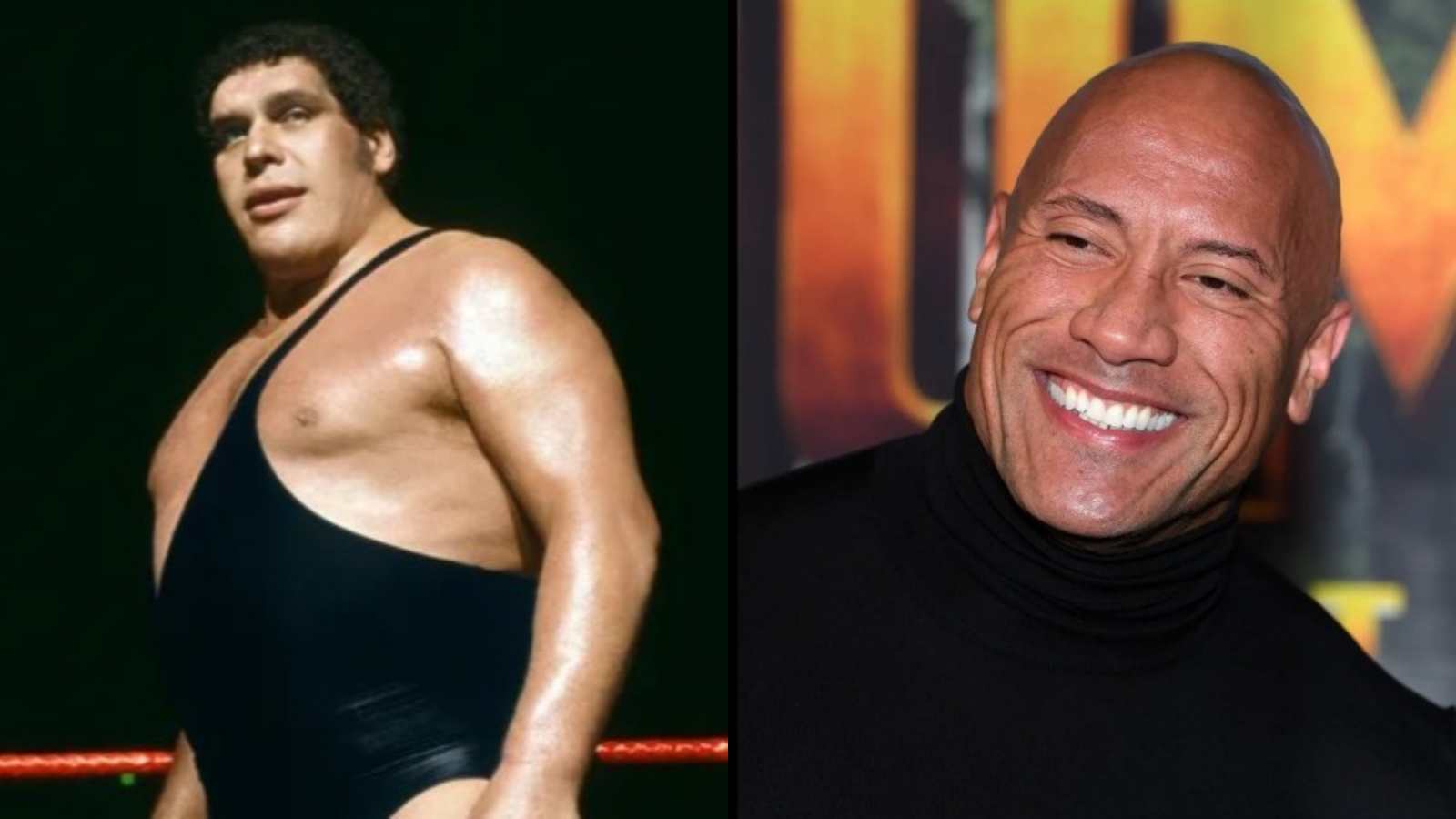 “Because we both had afros”- When Dwayne Johnson had joked about the reason for his relationship with Andre the Giant