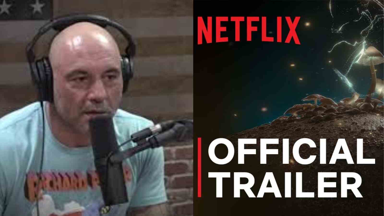 “Amazing substances the attention”- Joe Rogan advocates for a documentary on Psychedelic medicine