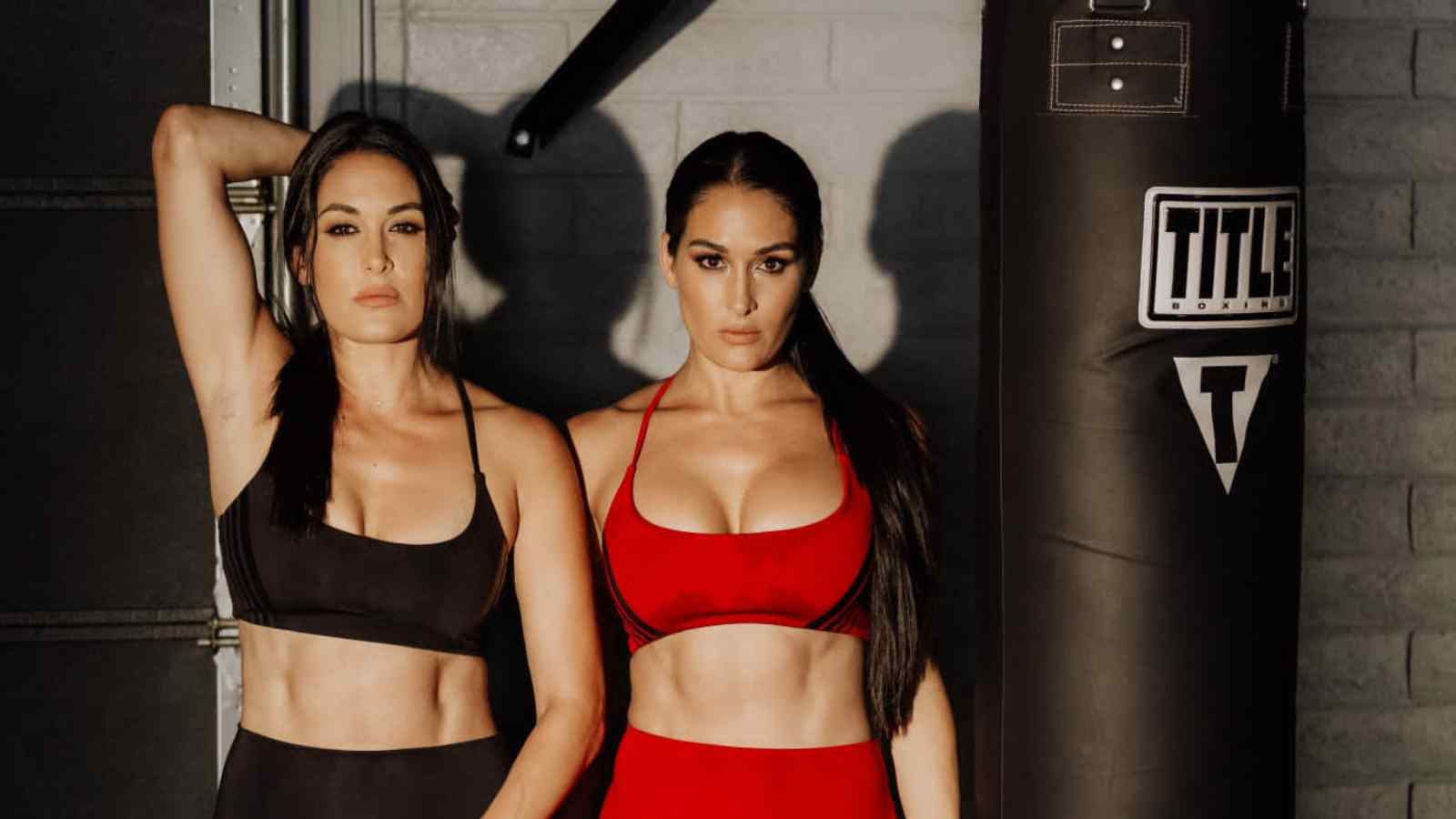 “That’s how professionals do it,” Former 24/7 champion shares her view on The Bella Twins’ Raw IS XXX criticism