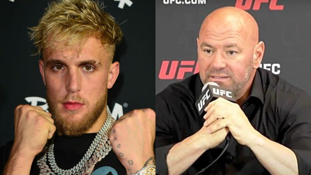 Jake Paul- Dana White