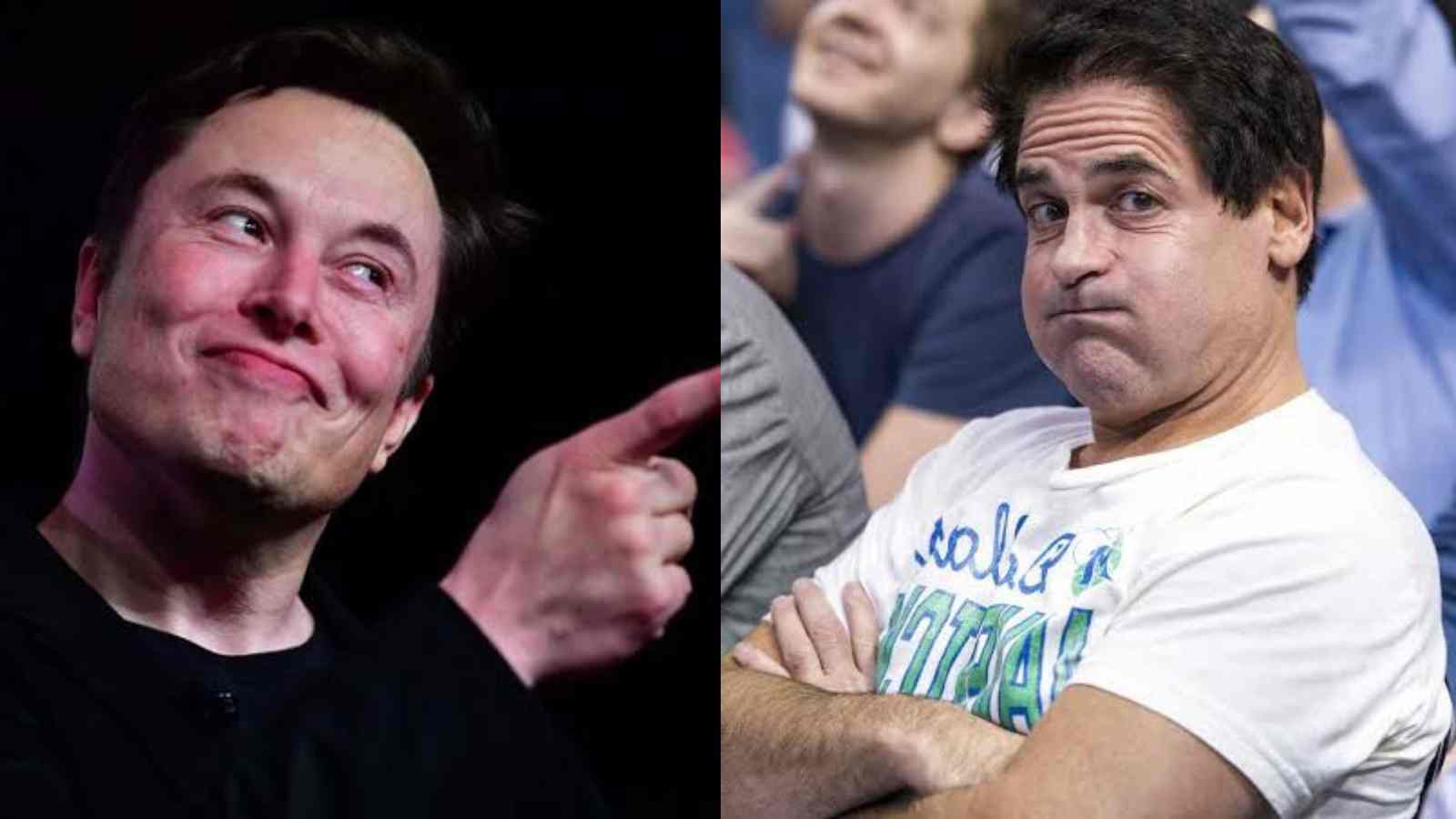 “Got to populate Mars” Mavs owner Mark Cuban was slammed by $219 Billion worth Elon Musk’s true feelings on fathering nine kids