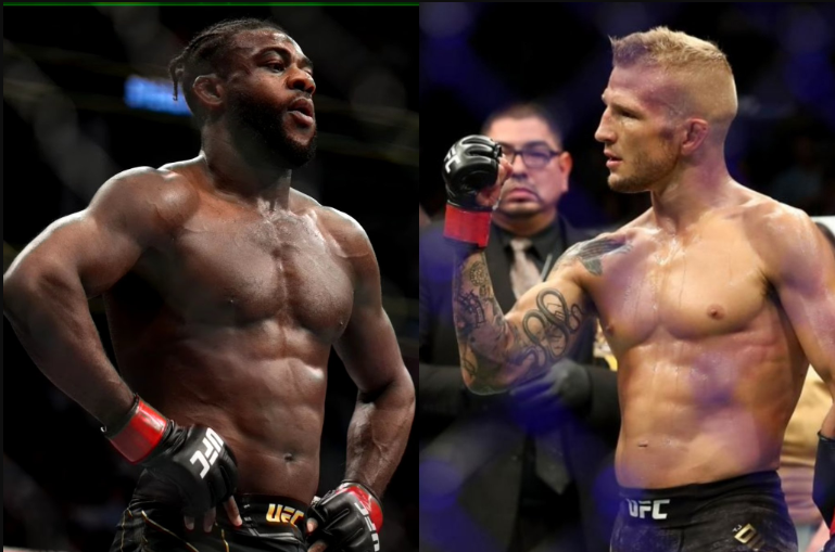 TJ Dillashaw x Aljamain Sterling