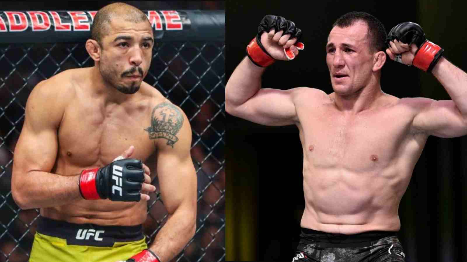 UFC 278: Jose Aldo vs Merab Dvalishvili- fight preview, betting odds and final prediction