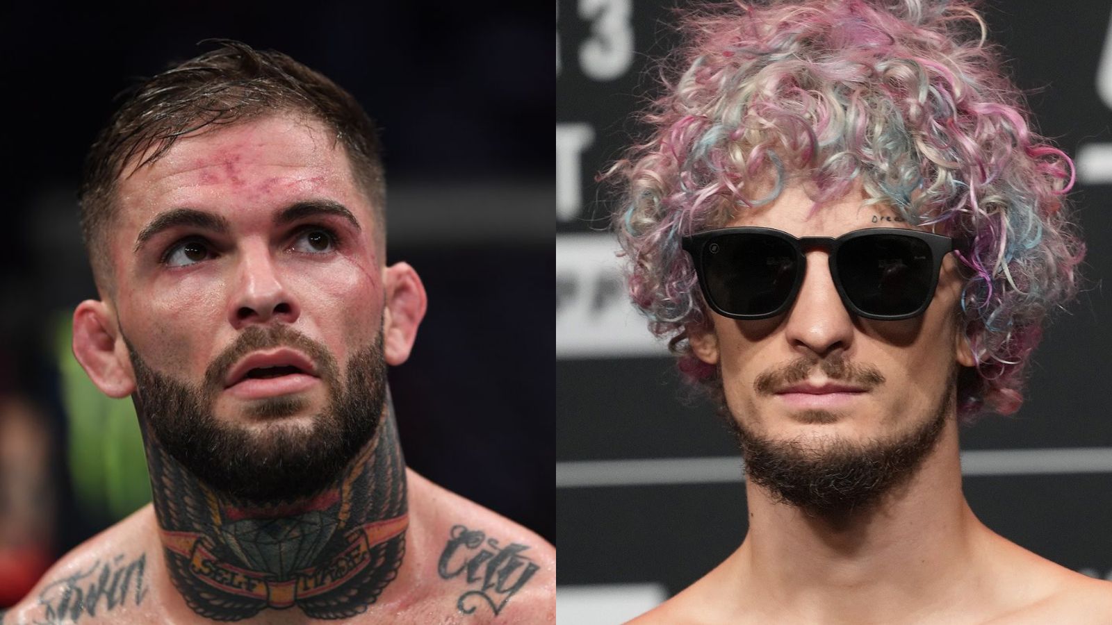 “Heard he got knocked out,” Sean O’Malley throws a vicious taunt at Cody Garbrandt in a notorious tweet