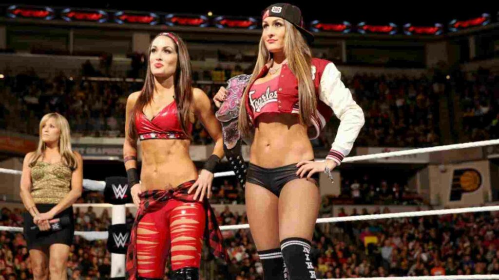 The Bella Twins