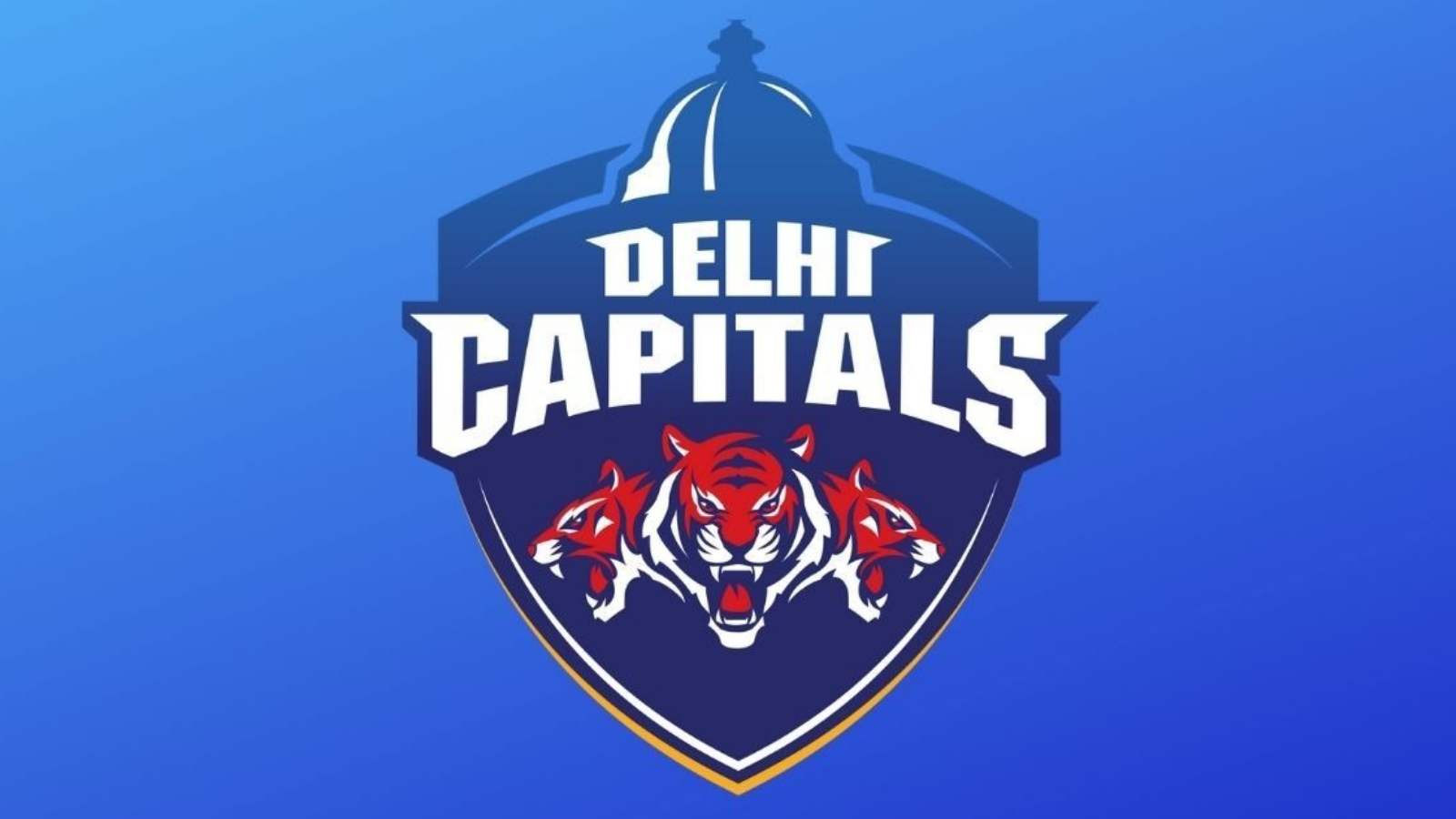 Delhi Capitals goes global, announce sister teams for South Africa and UAE’s leagues