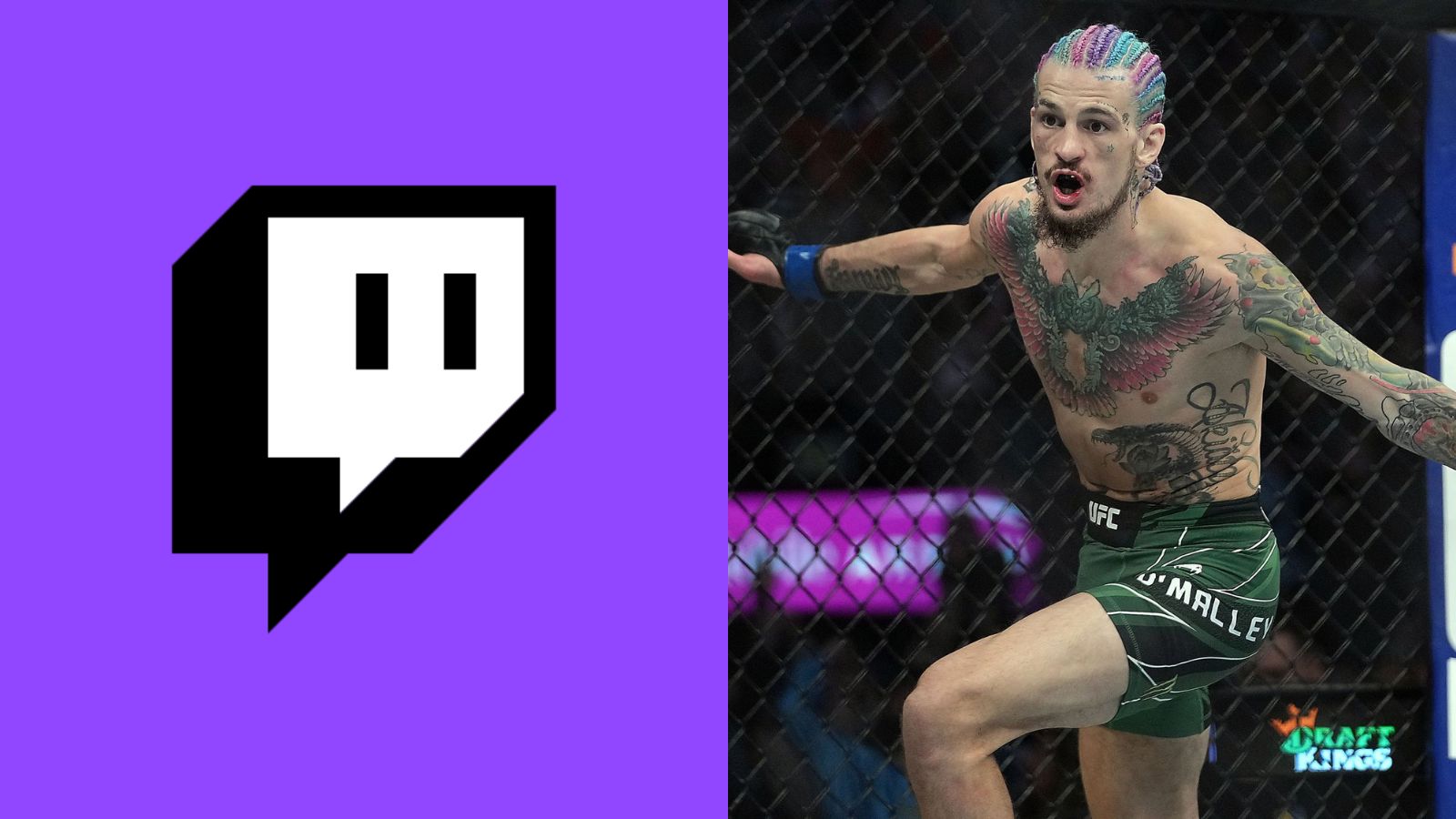 “Youtube’s a better platform,” Sean O’Malley talks about permanently quitting streaming on Twitch