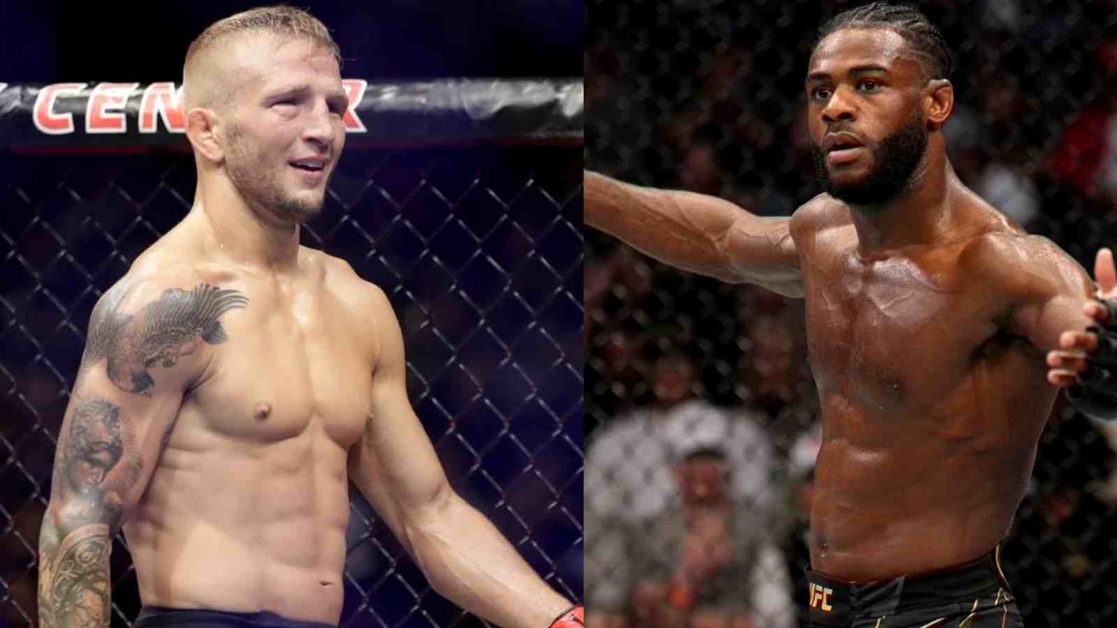 “Not Dangerous” TJ Dillashaw claims Aljamain Sterling to not be a threat despite gigantic upset over Petr Yan