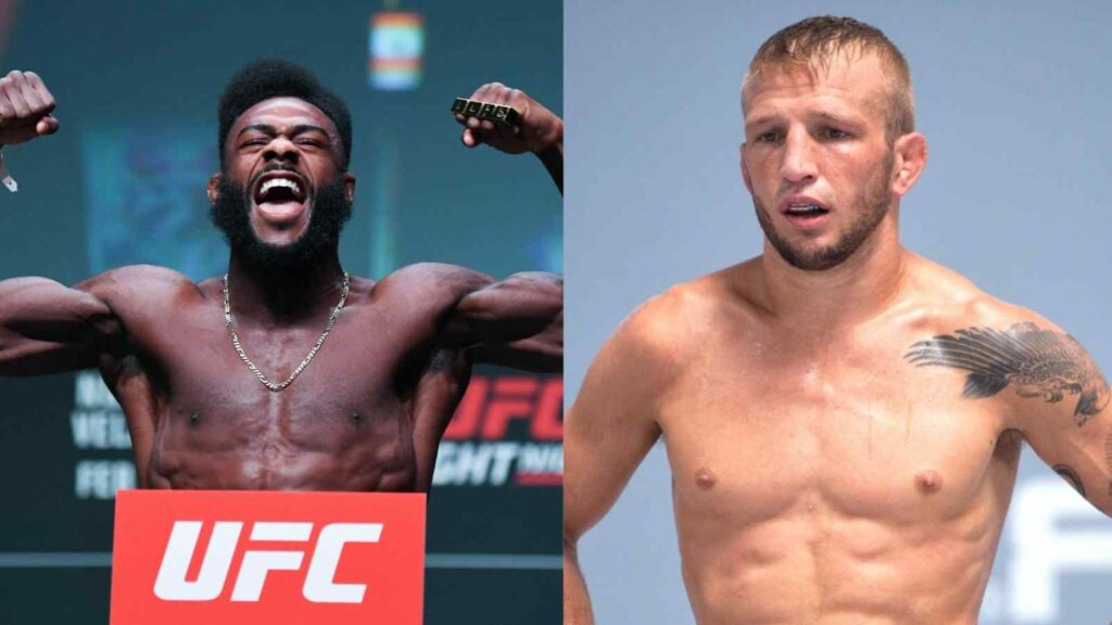 TJ Dillashaw Aljamain Sterling