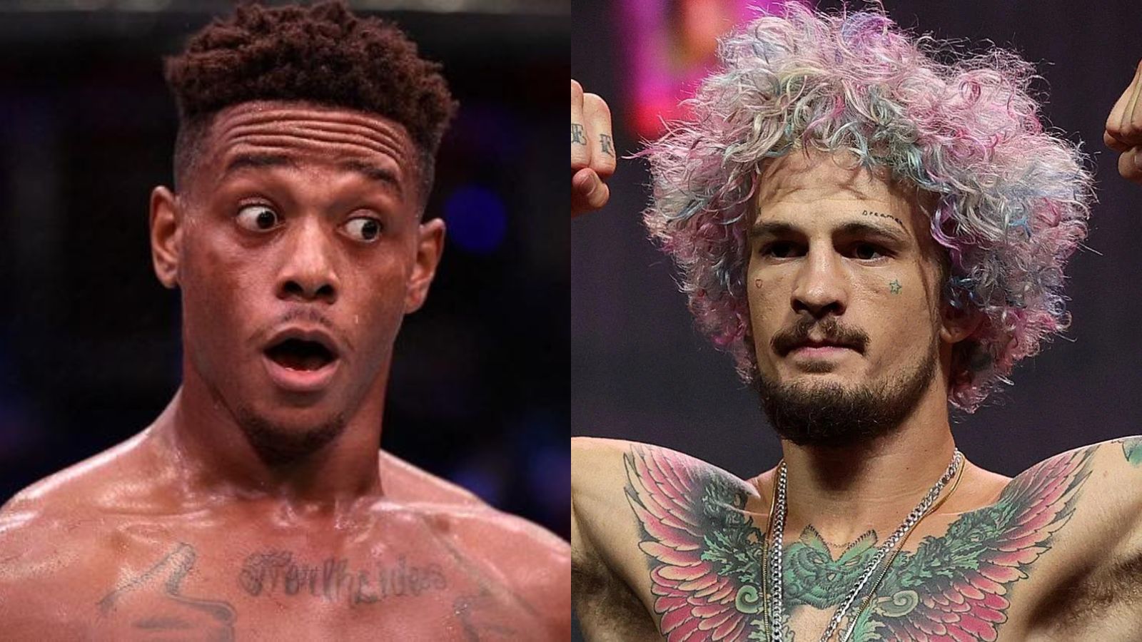 “What is success to you,” Jamahal Hill and Sean O’Malley trade words on achievements in the UFC as DWCS veterans