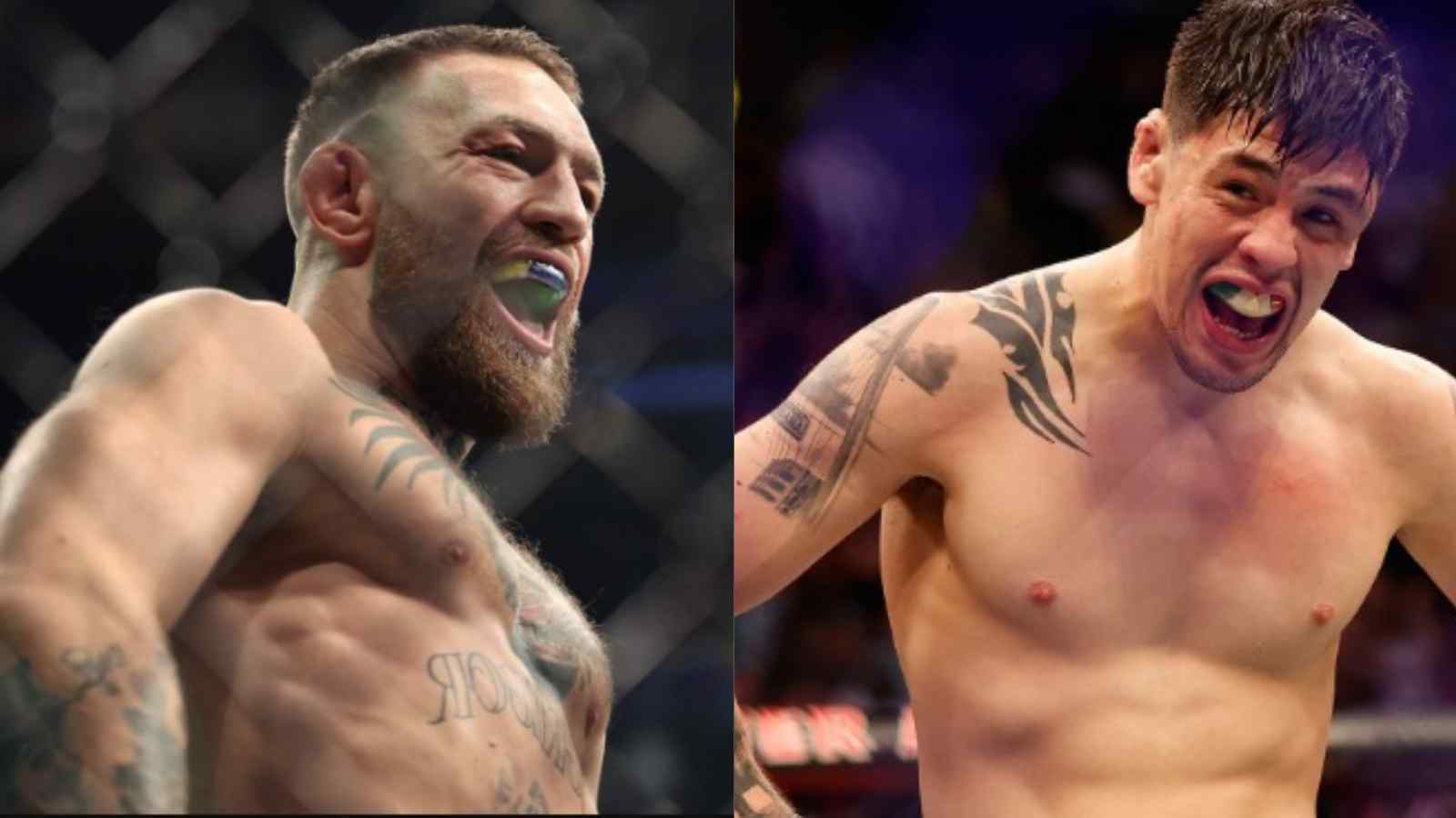 “Numero uno Campeón” Conor McGregor showers high praises on Brandon Moreno and Kai Kara France after the duo’s captivating interim title fight