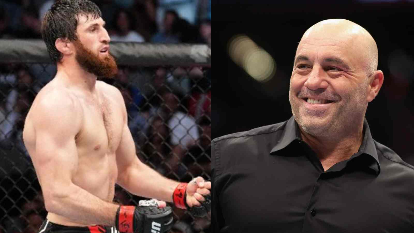 “Who do you think broke it?”- Magomed Ankalaev responds to Joe Rogan claiming Anthony Smith’s leg compromised during fight