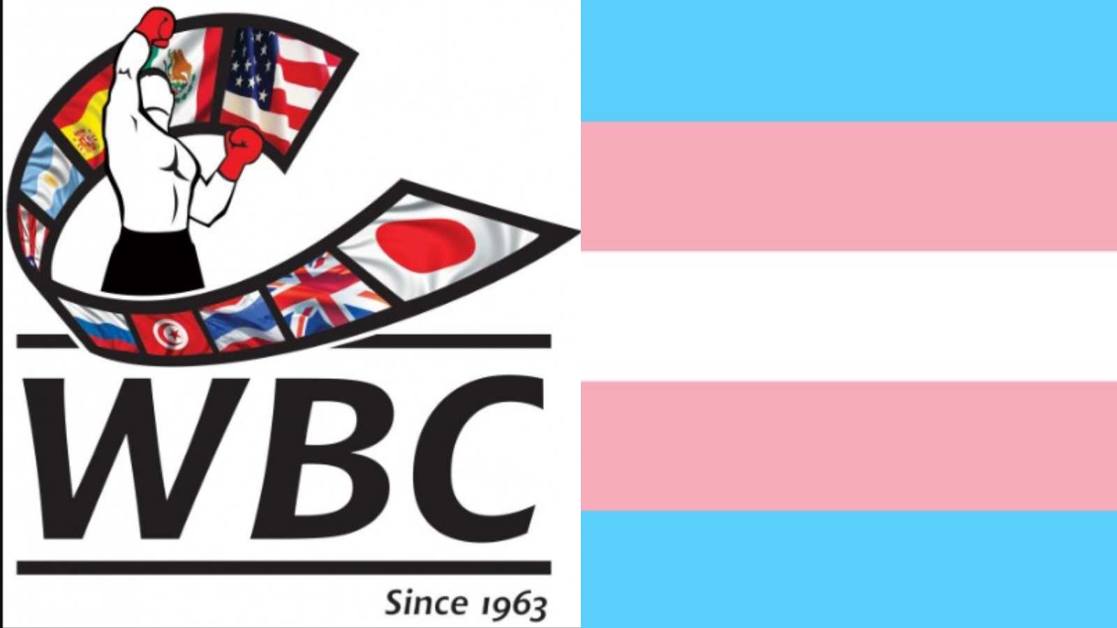 “Boxing is for Everyone” WBC released a statement promising to discuss controversial inclusion of transgender fighters in boxing at the annual convention