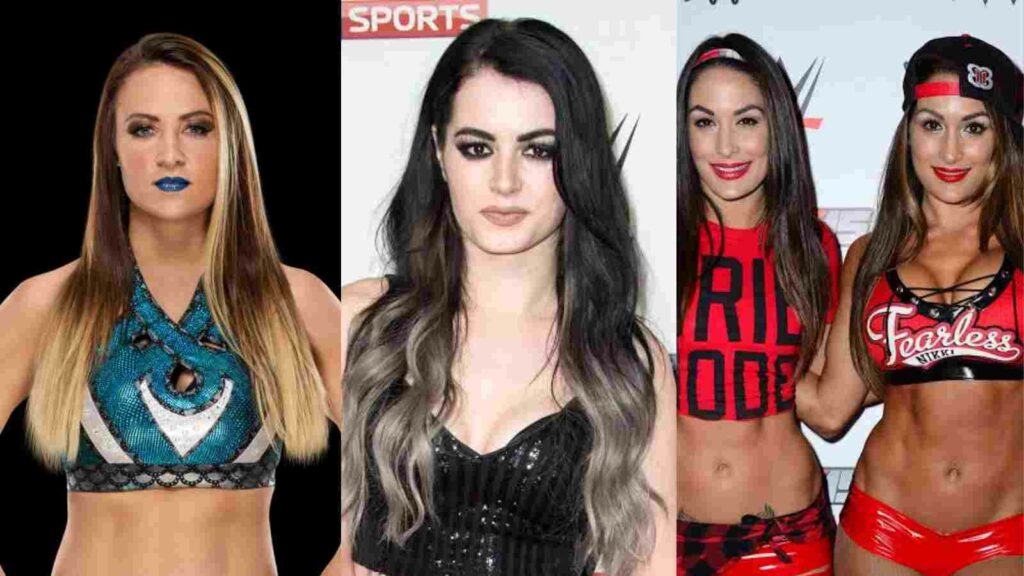 Paige and Emma vs The Bella Twins in 2015