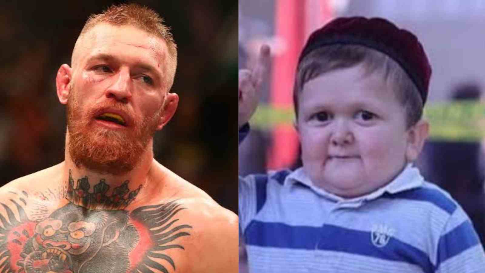 Hilarious: Internet sensation Hasbulla Magomedov names poultry after Conor McGregor