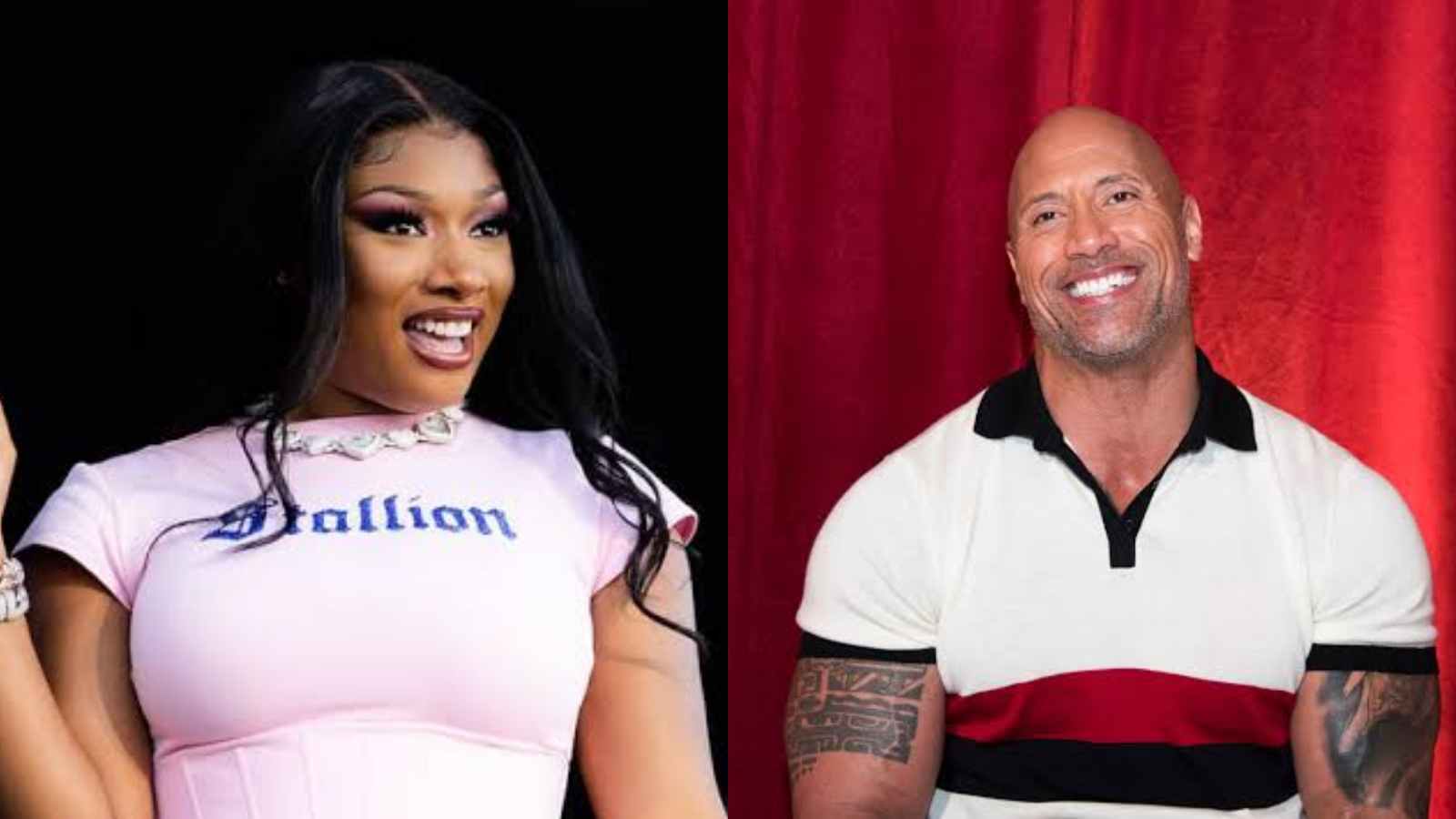 “MEGAN Thee Stallion” The Rock reveals whose pet he’d like to be