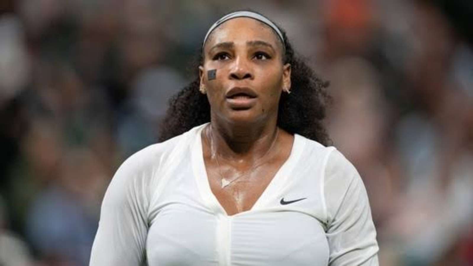 “It’s like a tsunami” Chris Widmaier reveals Serena Williams’ retirement boomed ticket sales at US Open