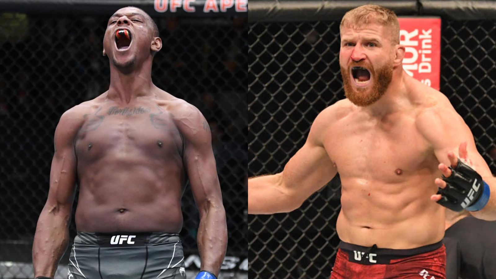 “Need to shut the F**K UP,” Jamahal Hill lashes out at critics who see Jan Blachowicz as the BETTER fighter than him