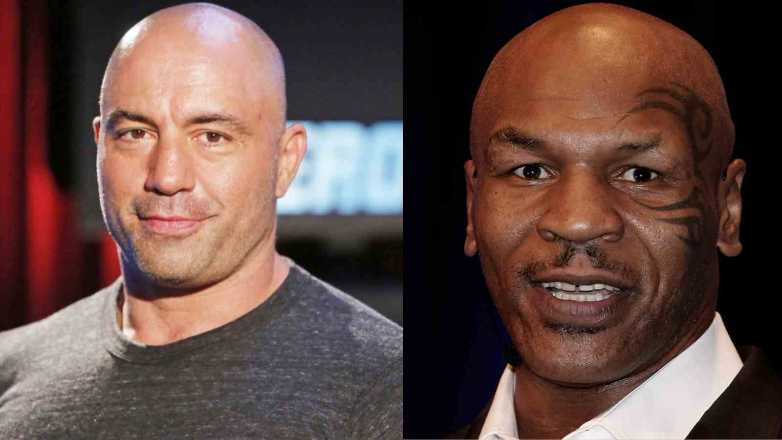 “Want to HUNT a motherf**ker”- Joe Rogan and Mike Tyson speculate that the world’s elite kidnap vagrants to chase them on private land for FUN