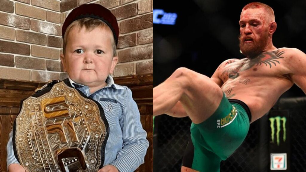 Hasbulla Magomedov- Conor McGregor