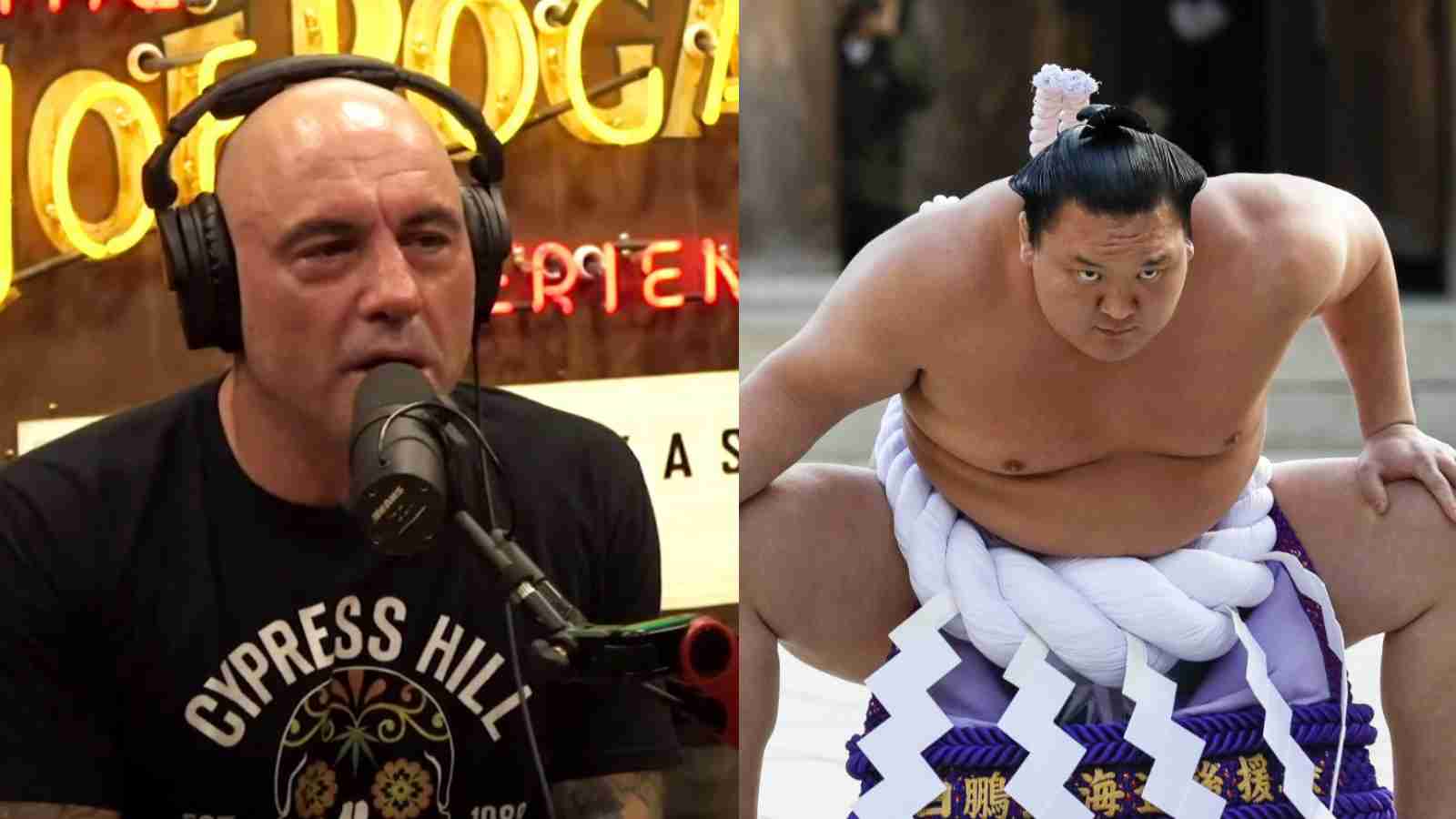 “Big giant, big bones” – Joe Rogan reacts to the Jon Jones of sumo wrestling