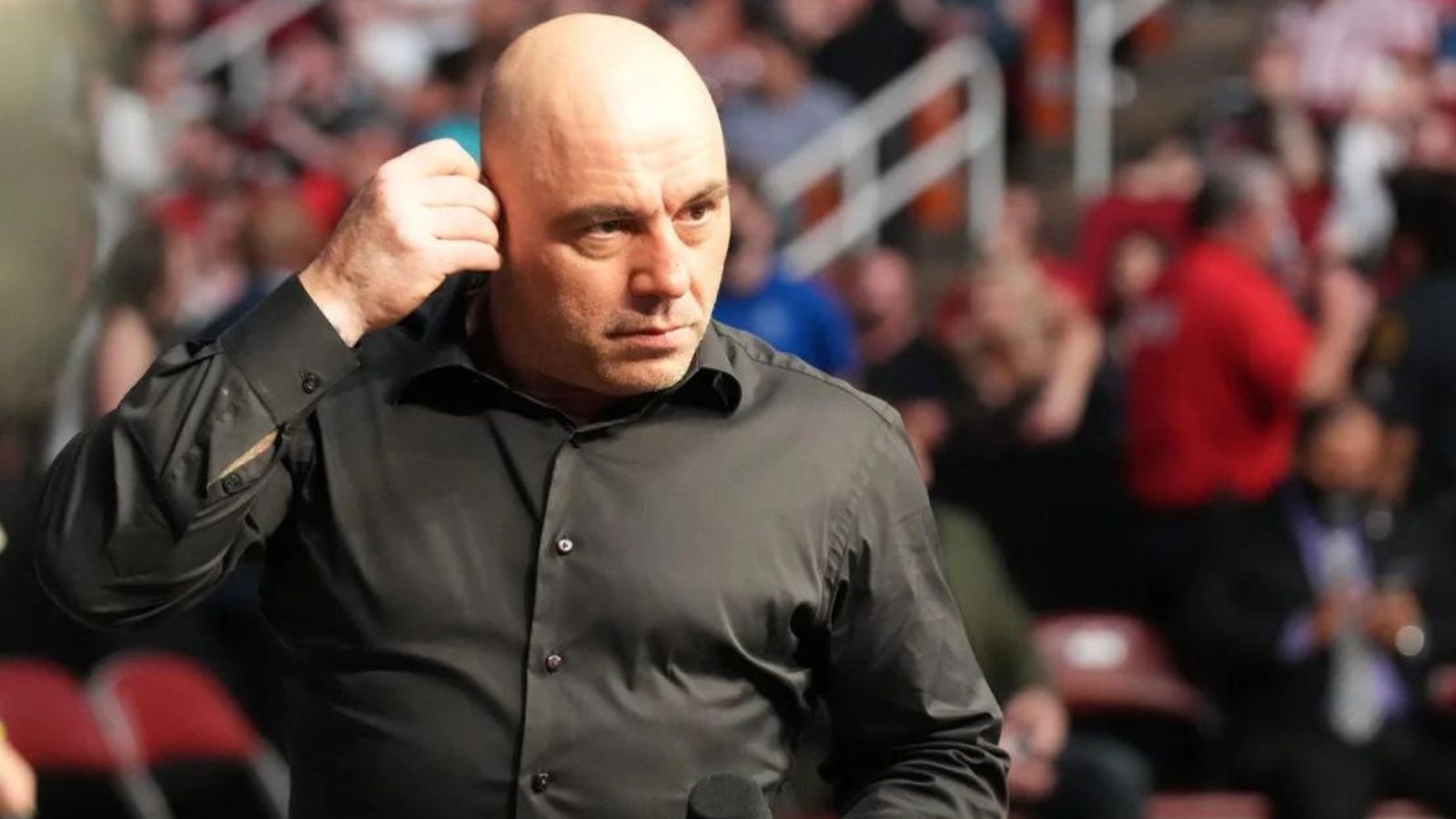 “Get up here B***”” – Fan challenges Joe Rogan for a brawl as he calls the UFC commentator a B****