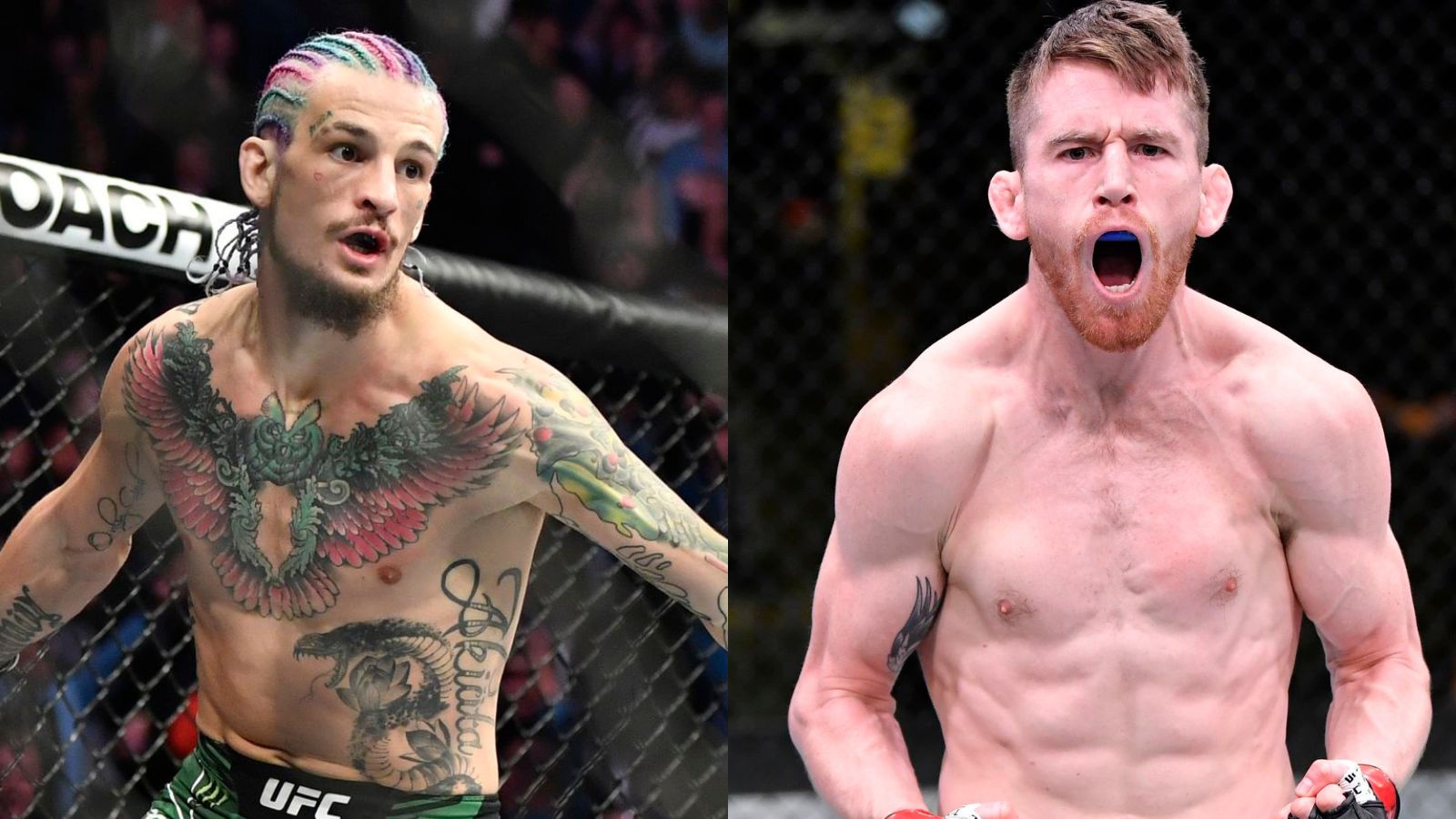 “Not fighting the UFC standard,” Cory Sandhagen gets brutally honest about Sean O’Malley who fights Petr Yan at UFC 280