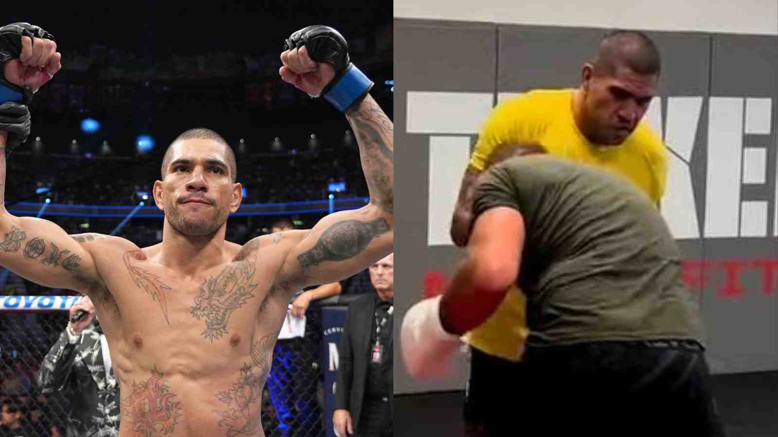 WATCH: Middleweight Alex Pereira goes toe-to-toe with light heavyweight in INTENSE sparring session ahead of UFC 281