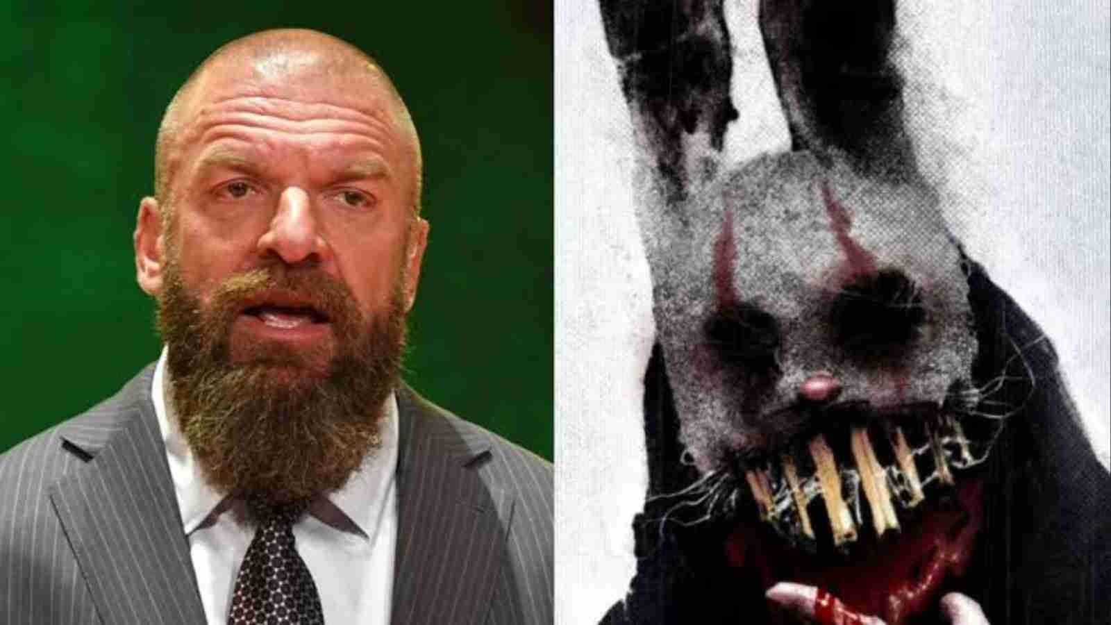 ” It is Someone…..” Triple H Reveals SHOCKING Truth about White Rabbit Mystery