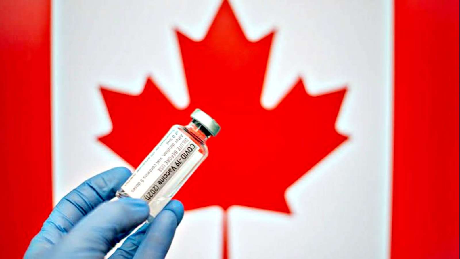 “Finally free”- Canada to lift vaccine mandate and other norms for foreign nationals from 1st October