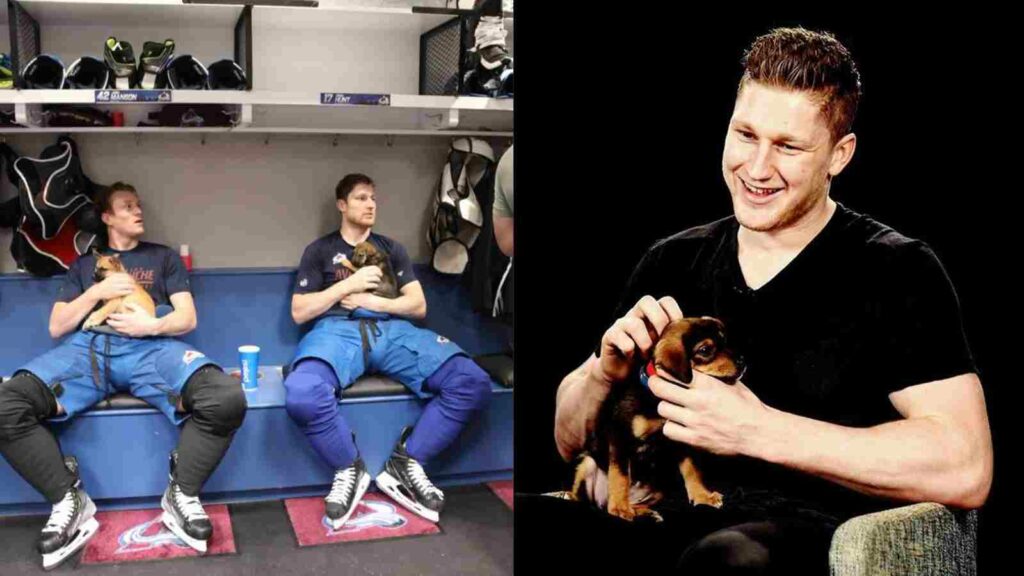 Colorado Avalanche players adorn the puppies in locker room