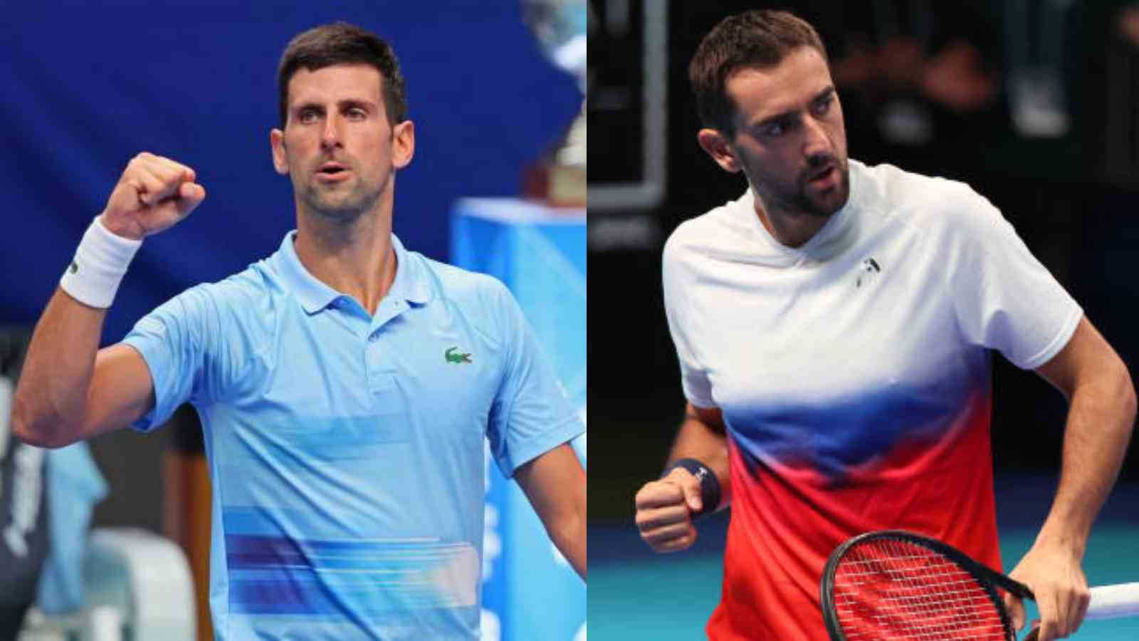 Tel Aviv Watergen Open 2022 FINAL: Novak Djokovic vs Marin Cilic Live Stream, Match Timings, Prediction, and Preview