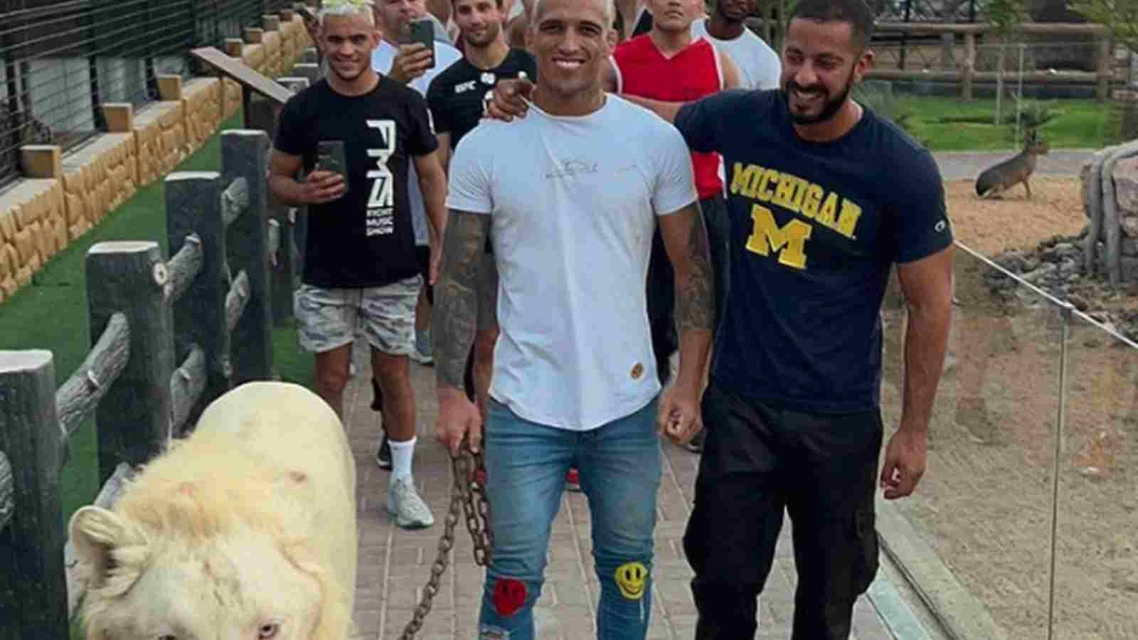 WATCH: Taming the beast! Charles Oliveira walks A LION heading into the fight against Islam Makhachev