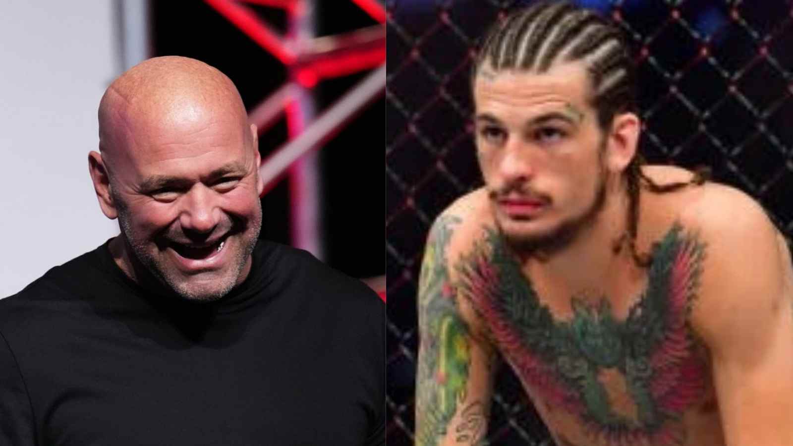 “As big as Conor” – Dana White believes Sean O’Malley is on the verge of becoming a ‘global superstar’