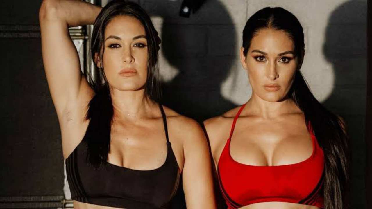 “Queen of waking up at 3 am and masturbating” When Nikki Bella and Brie Bella’s revealed their s*x life secret